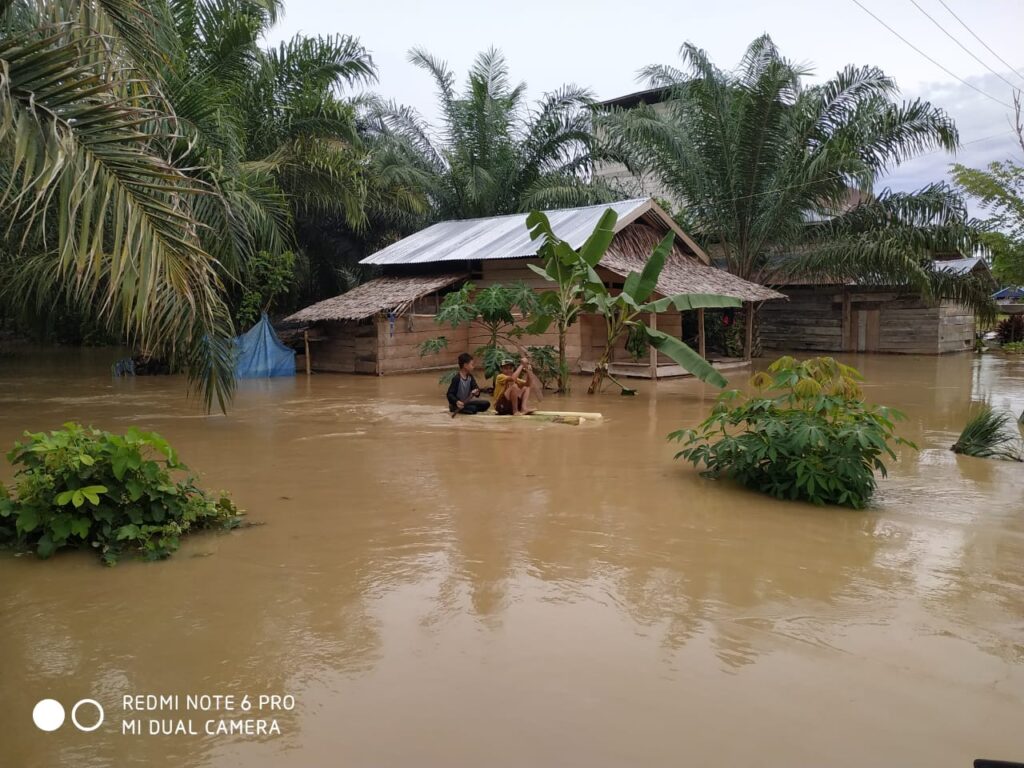 Tiga Desa di Sampaga Terendam Banjir, 30 Keluarga Terpaksa Mengungsi