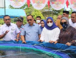 Empat Kelompok Budidaya Ikan Lele di Mamuju Disuplai Bantuan Sarpras Sistem Bioflok