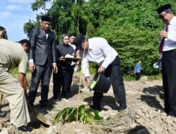 Hari Pertama Ngantor, Pj Gubernur Bahtiar Memulai Gerakan Tanam Sukun di Sulbar