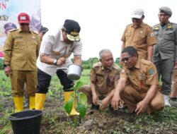 Sukun, Komoditas Tambahan yang Siap Didorong Jadi Kebanggaan Indonesia